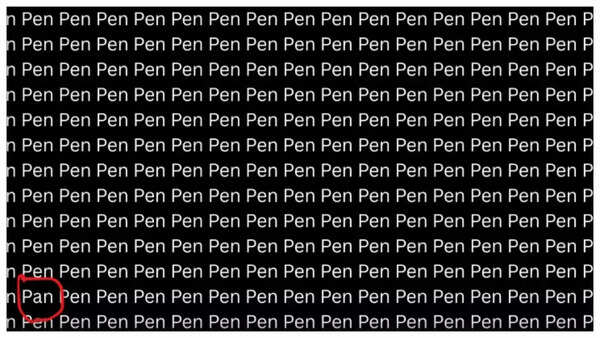 The word 'pan' highlighted among the many 'pens' in the image