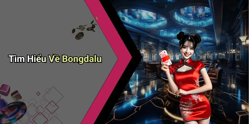 Tìm Hiểu Về Bongdalu