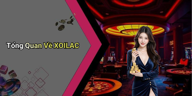 Tổng Quan Về XOILAC