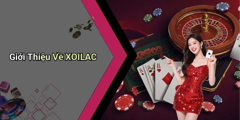 Giới Thiệu Về XOILAC