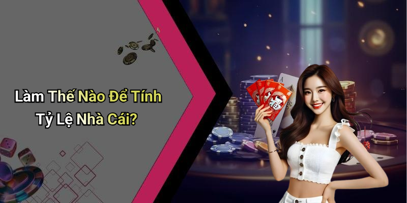 Làm Thế Nào Để Tính Tỷ Lệ Nhà Cái?