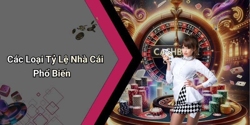 Các Loại Tỷ Lệ Nhà Cái Phổ Biến