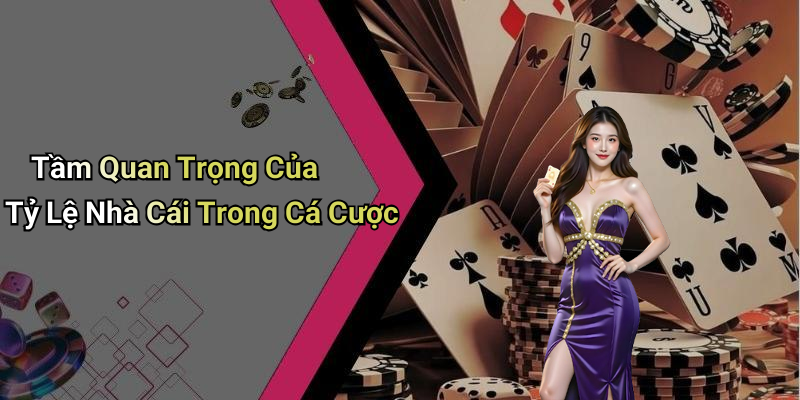 Tầm Quan Trọng Của Tỷ Lệ Nhà Cái Trong Cá Cược