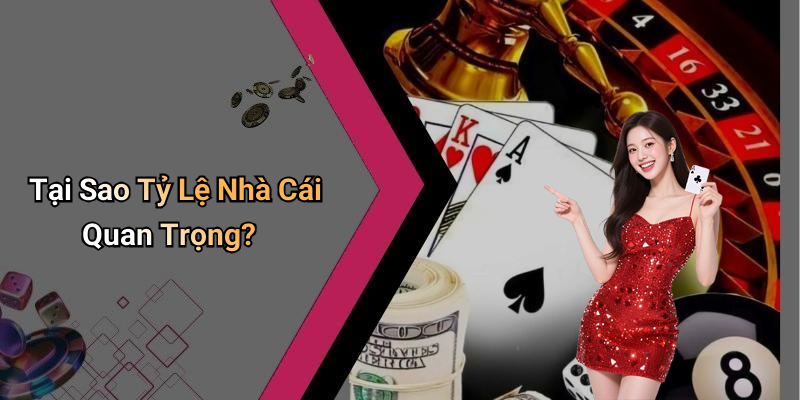 Tại Sao Tỷ Lệ Nhà Cái Quan Trọng?