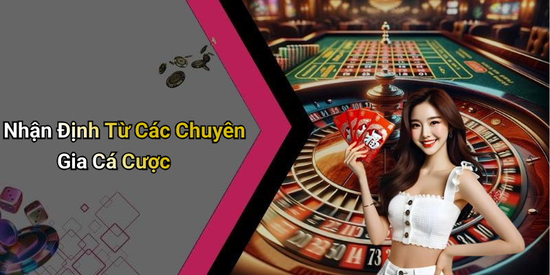 Nhận Định Từ Các Chuyên Gia Cá Cược