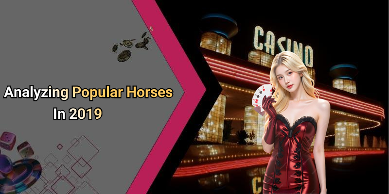 Analyzing Popular Horses In 2019