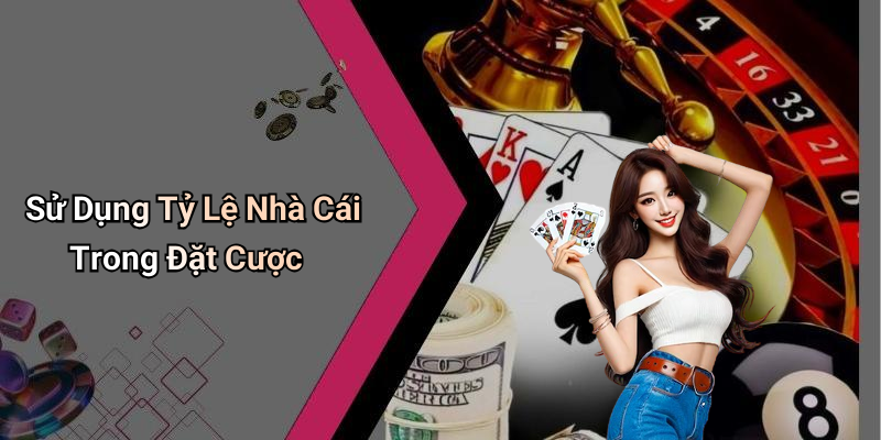 Sử Dụng Tỷ Lệ Nhà Cái Trong Đặt Cược